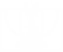 Decision Driven Skill System